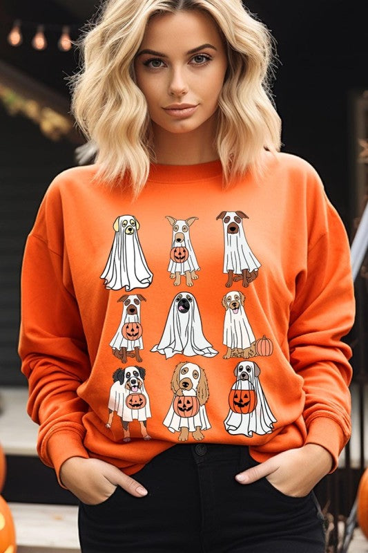 Halloween dog sweatshirt