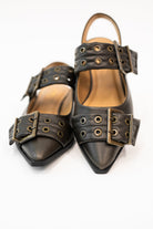 Pointy Toe Flats